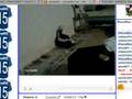 A Cool Skunk Taking a Shit