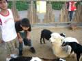 videos de edson y su encuentro con animales