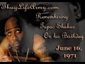 2006 BD Tribute to Tupac (2Pac)