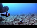 BSAC Video Course@OceansBelow - Day6 - Koh Tao, Thailand