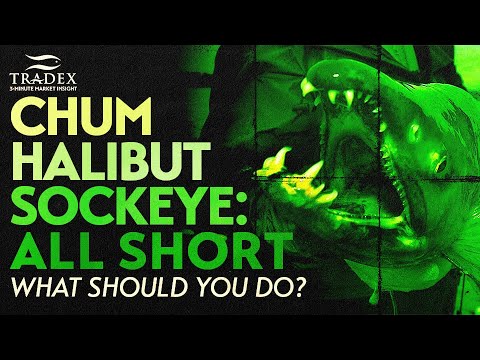 3MMI - Chum, Sockeye, Halibut All Short; What Should You Do?