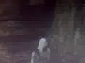 Assassins Creed 100/100 Flags Assassins Creed 100/100 Flags