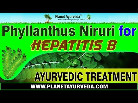 how to treat hepatitis b with herbs