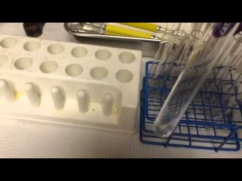 how to dissolve znso4