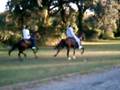 Single Footing