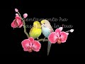 UN SENTIMENTO
