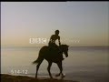 Avatar - Horses