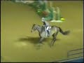 Hunters and Hunt Seat Equitation