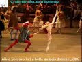 Alina Somova Rose Adagio