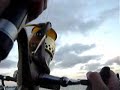 eagle ray chase eagle ray chase