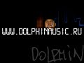 dolphin   sneg  snow 