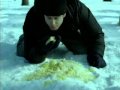 Do eat that yellow snow its Beer.wmv