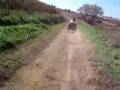 cheese head trail