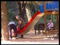 Sentencia Alienacion Parental- A3