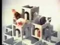 hr-Katzen