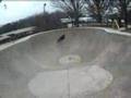 just-some-park-clips