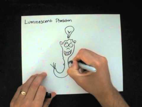 Draw a Luminescent Plankton | Doodle Ideas