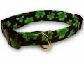 Dog & Cat Collars with Matching Leashes - Whimsical Fashions in Green Shamrocks!