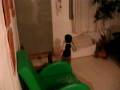 videos de MVI_9371.AVI
