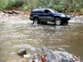 videos de Tellico Nov.15th, 2008