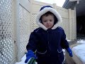 SnowBear