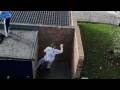 Conor - Urban Freeflow - Parkour - Freerunning