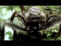 Eight VFX Goes a Long Way for one 'Drop' of Bavaria Beer