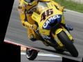 TRIBUTO Valentino Rossi