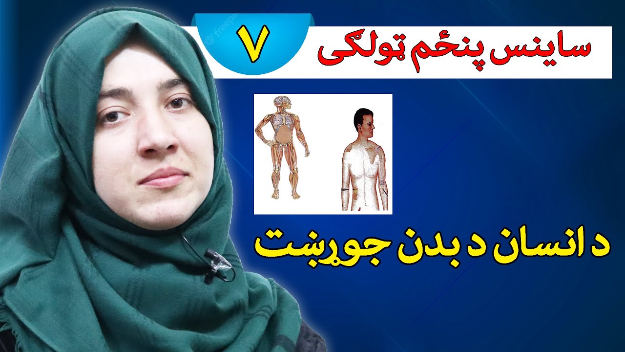 class 5 | Human body organs | Introduction of all part of body step by step