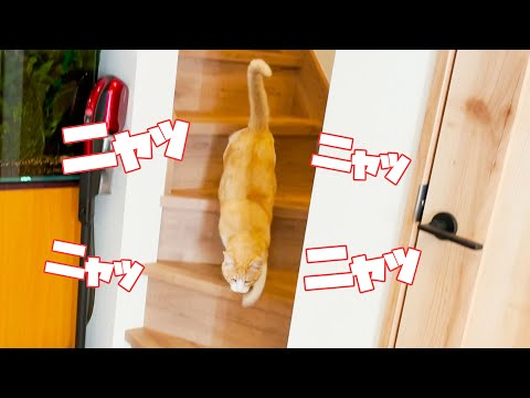 あつし Channel 所属クリエイター Bitstar ビットスター