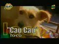 loco cau cau  damián y el toyo 
