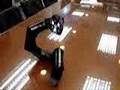 Black-Colored-RoboBO