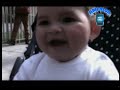 moscardon - chancho en piedra