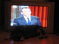 sacha is rocked to sleep by the political lyricism of french presidential candidate, francois bayrou.