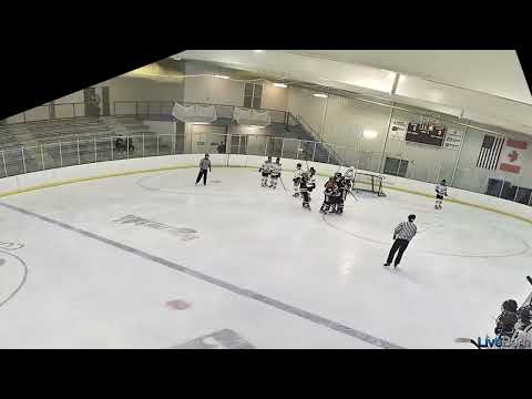 One timer goal off the draw