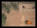 vamosdecaceria.com - Venado acrobata