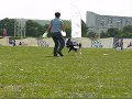 DCDC '08 SOPOT YOUNG DOG FRISBEE - PAULA I WENA