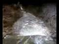 videos de booboo's big adventure