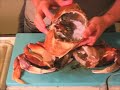 Cooking With Live Crab, Part I (Cleaning)