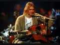 Nirvana's Heart Shaped Box played by the Tallywood String Quartet.My opinion is that theyve done a great cover