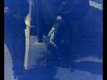 videos de Nicola e Rocco (il cane)