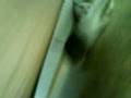 videos de Musch @ schwindlig