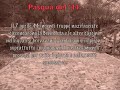 Da Bosio al Monumento ai Martiri della Benedicta