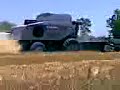 Gleaner R75 trillando trigo (wheat harvest)