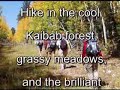 \"Grand Canyon\" North Rim Arizona Kaibab Trail Hike \"Grand Canyon\" North Rim Arizona Kaibab Trail Hike