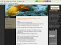 Quck Setup Of Your Money Earning Website For Free! Learn How