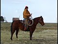 Quick Tips Series 4 - Using Spurs Quick Tips Series 4 - Using Spurs