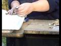 Dividing Dahlia Tubers