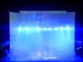 Tripulaci�n Armar Toboganes (en vivo) Auditorio Nacional