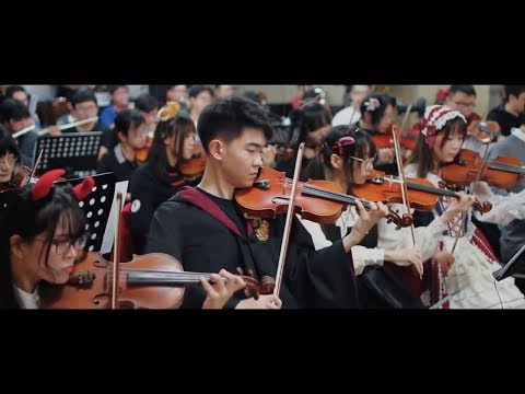 動画